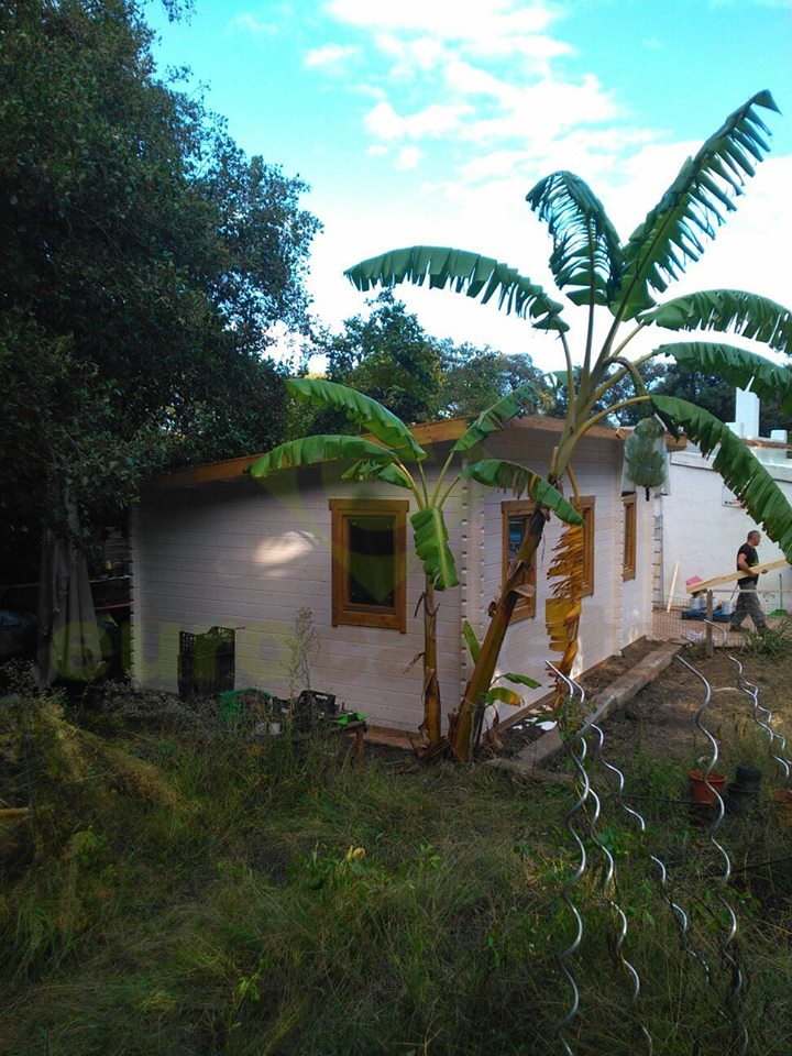 Montaje caseta de madera MARTA2